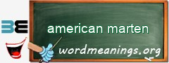 WordMeaning blackboard for american marten